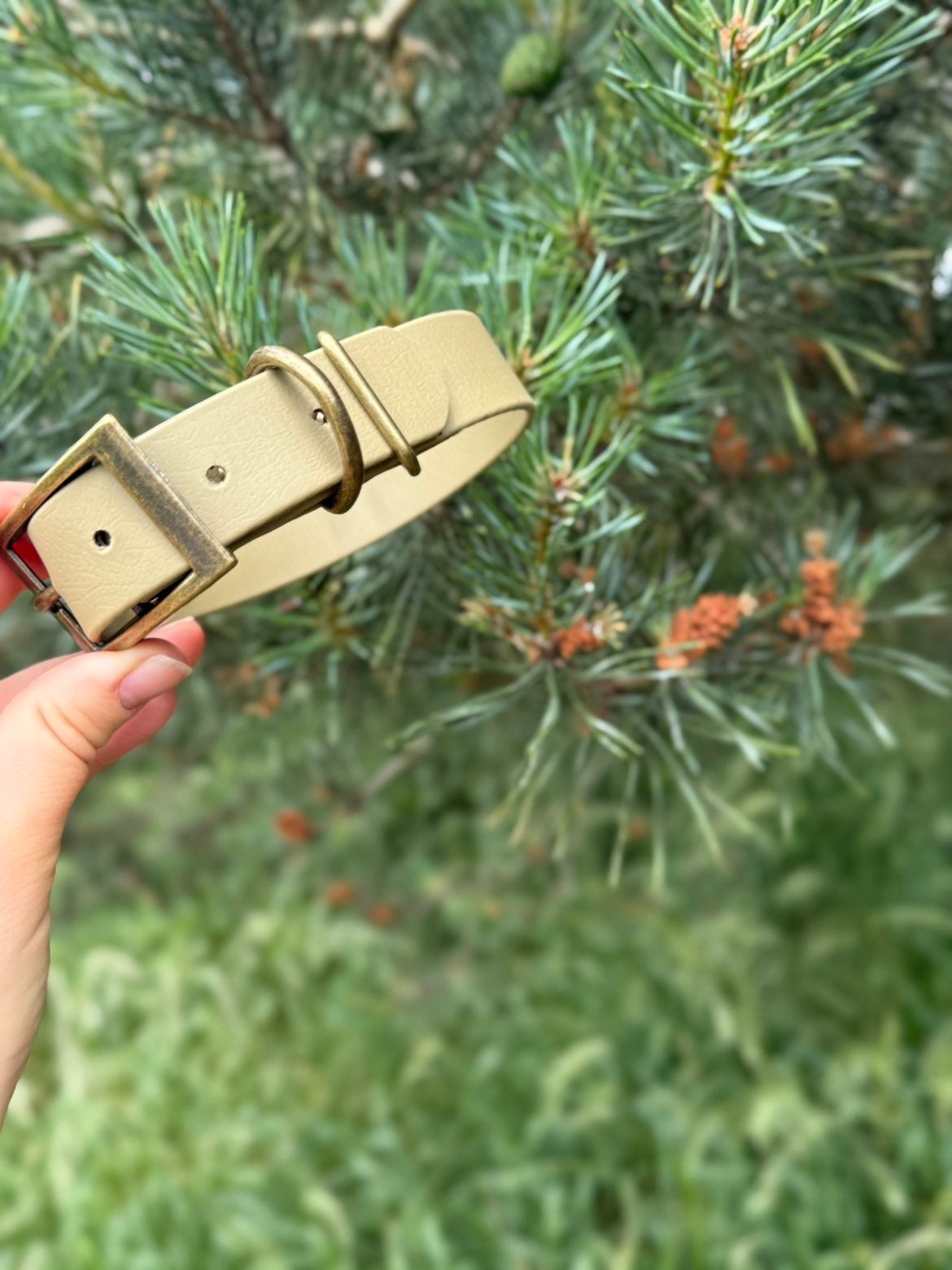 Biothane Collars
