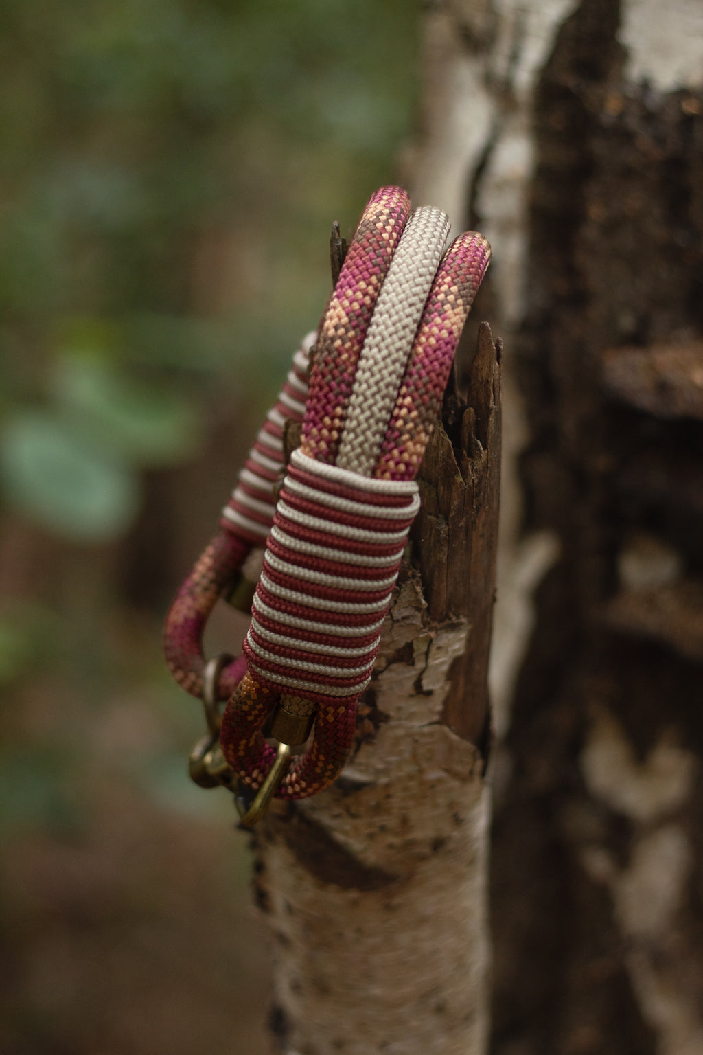 Custom Paracord Collars (Triple)
