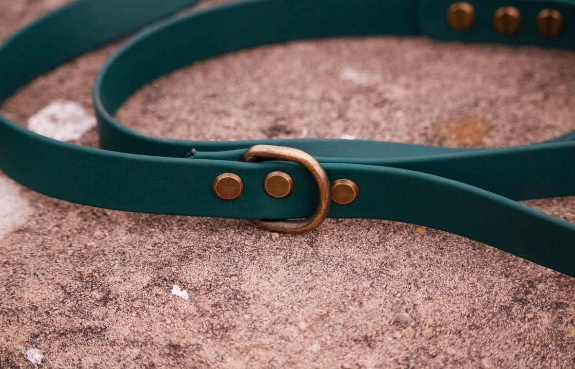 Biothane Leads