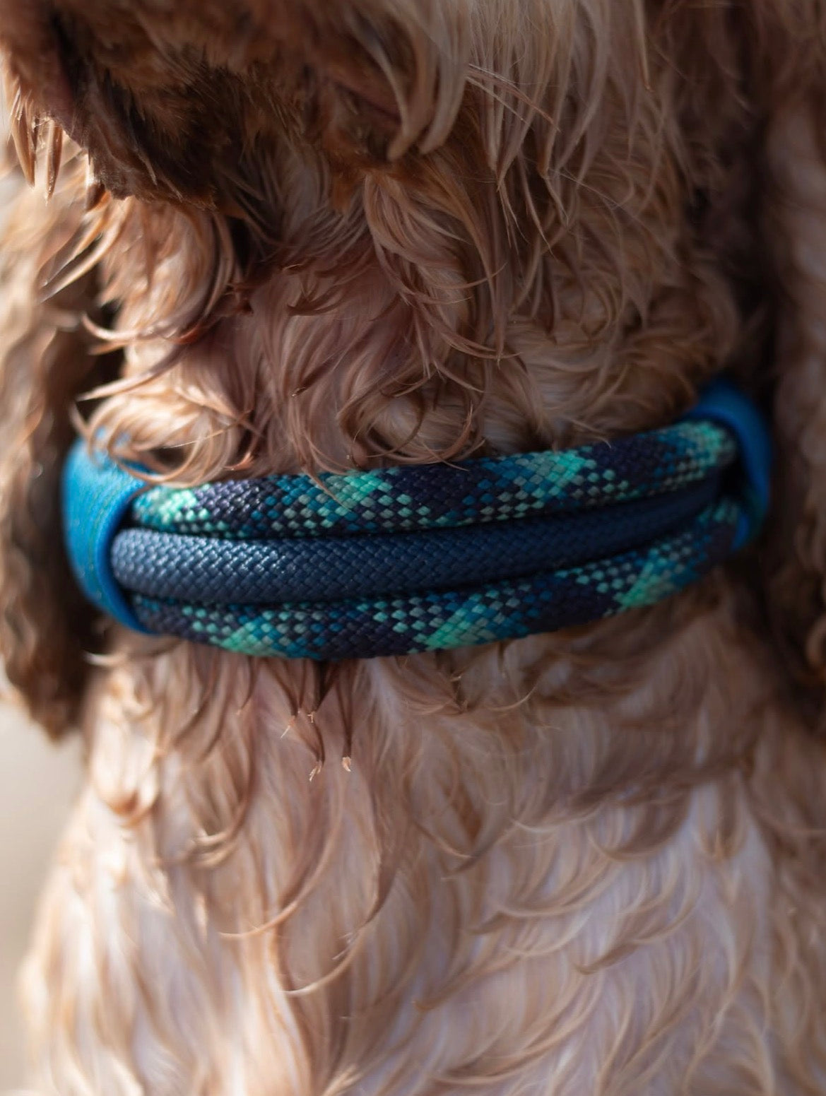 Custom Paracord Collars (Triple)
