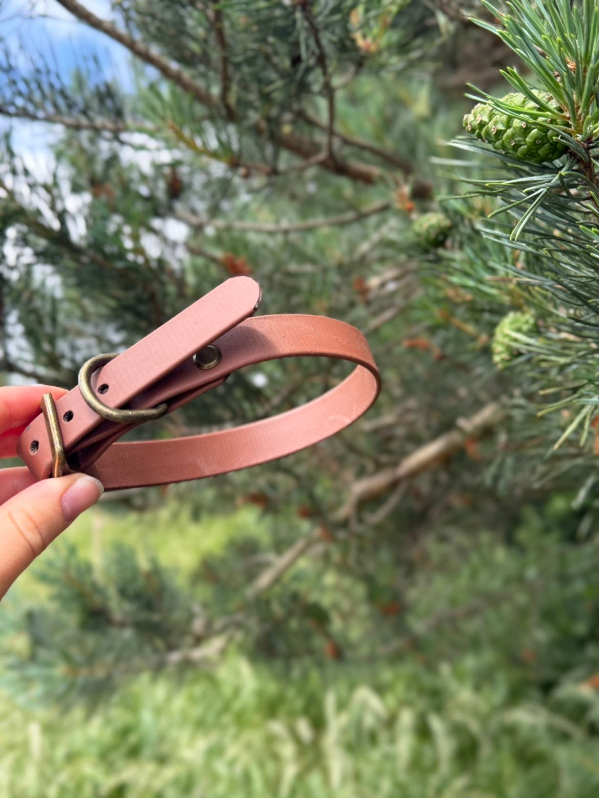 Biothane Collars