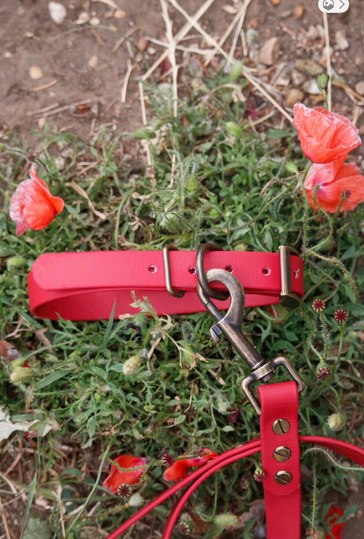 Biothane Collars