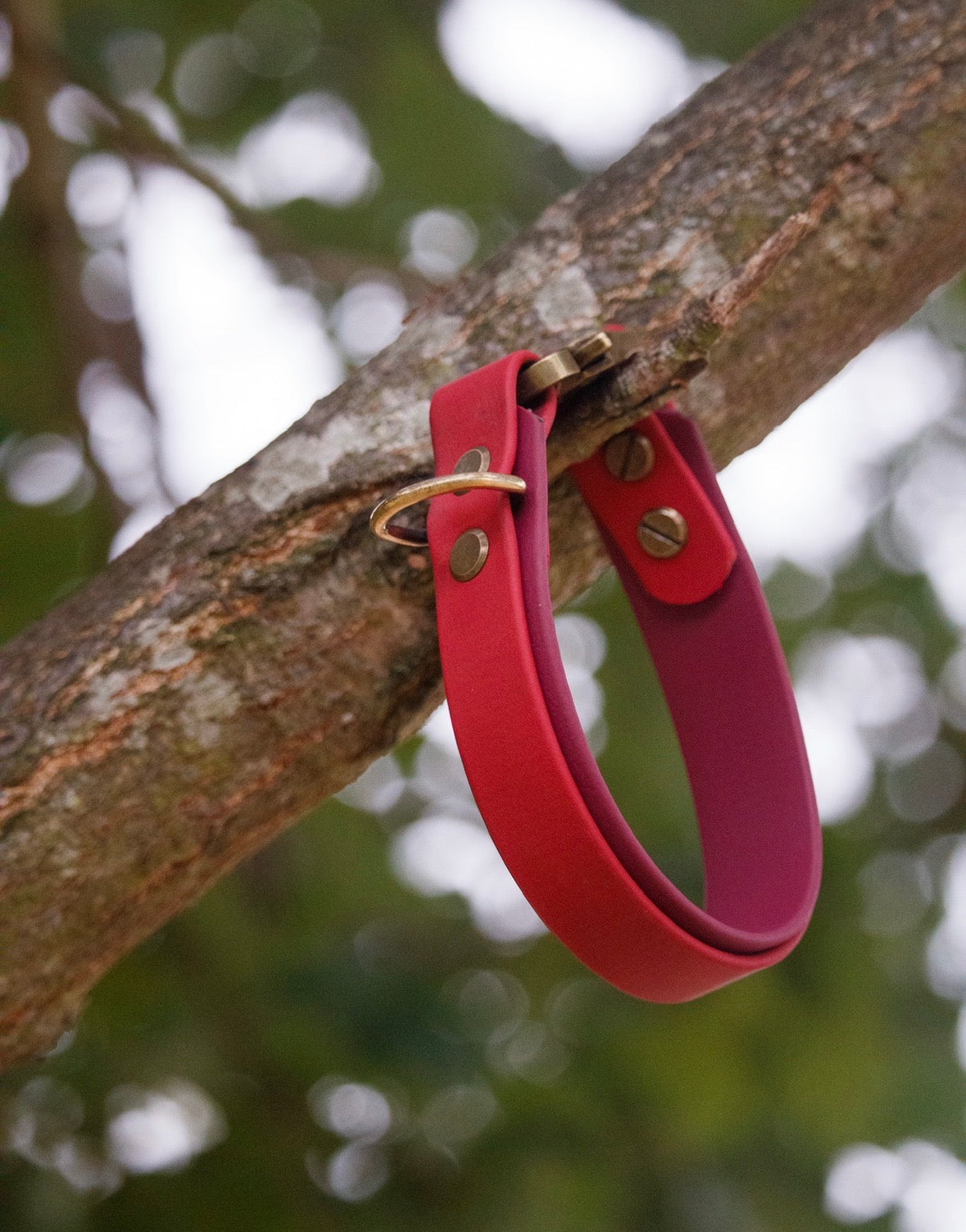 Double Biothane Collar