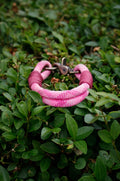 Custom Paracord Collars (Double)